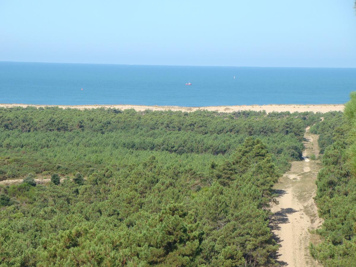 La Foret D'armotte